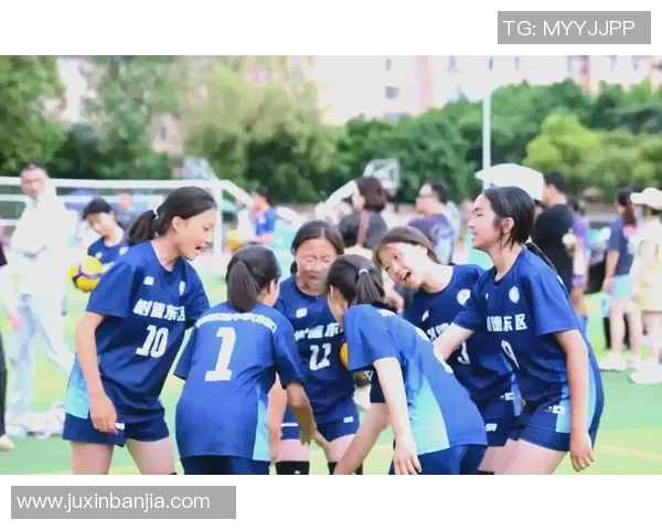 成都排球队的实力揭秘排球巨献背后的故事与荣耀