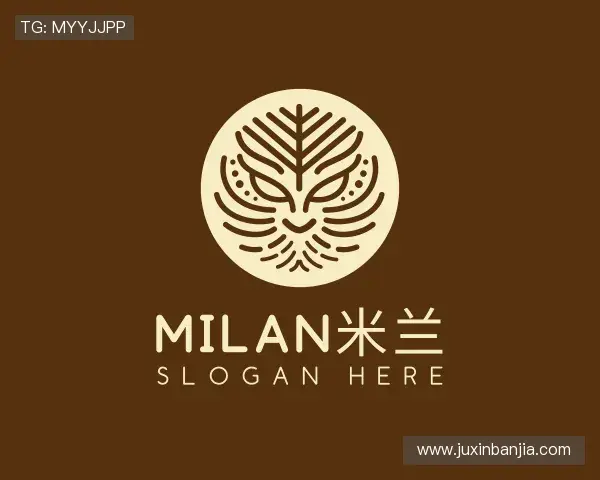 关于milan米兰